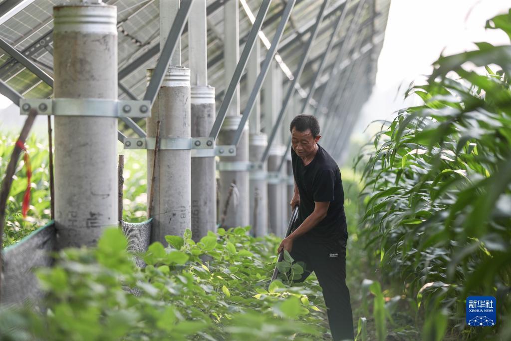 民间游戏娱乐网址